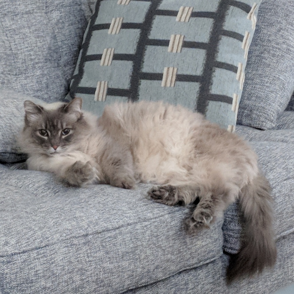 Meet your Posher, Jackie